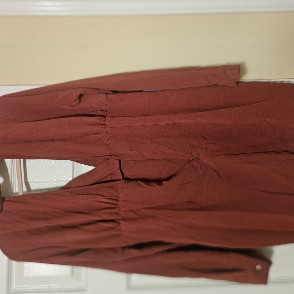 Rust Red Draped Dress - Picture 2 of 3